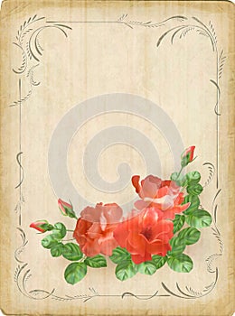 Vintage retro flowers roses postcard border frame