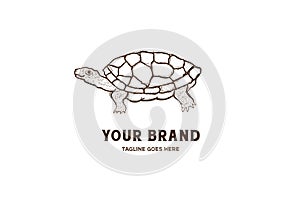 Vintage Retro Hand Drawn Turtle Logo Design Vector