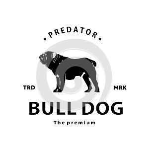 vintage retro hipster bull dog logo vector