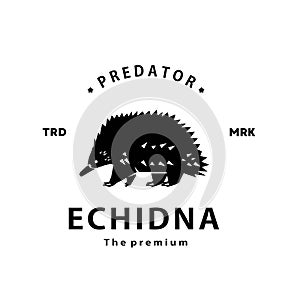 vintage retro hipster echidna logo vector