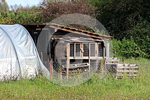 Vintage retro homemade temporary wooden rabbit cages next to small wooden tool shed and garden greenhouse surrounded with wire