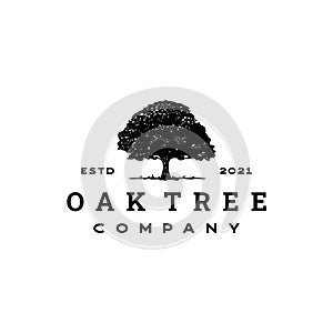 Vintage Retro Oak, Banyan, Maple Tree Service Logo Design