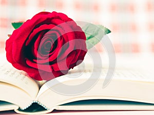 Vintage retro of red rose on open book.