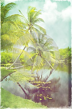 Vintage retro style photo of tropical beach lagoon with coconut palm trees