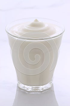 Vintage retro styling yogurt