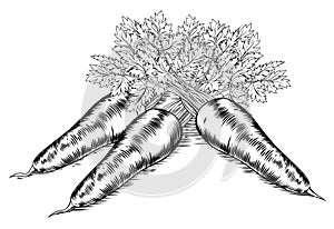 Vintage retro woodcut carrots