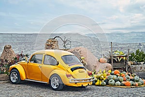 Vintage retro yellow old car with pumpkins in Nevsehir