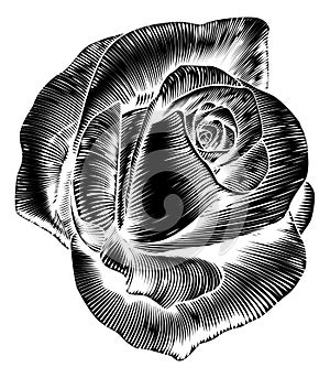 Vintage Rose Flower Etching Engraved Woodcut