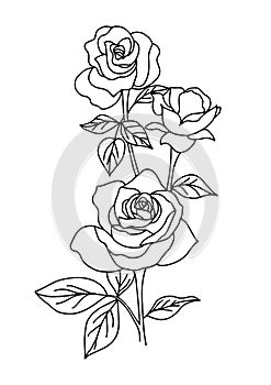 Vintage rose tattoo, flower vector illustration