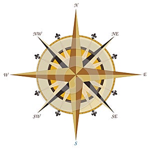 Vintage rose wind compass