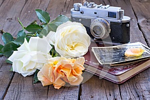 Vintage Roses, family photos and old camera