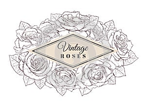 Vintage roses. Romantic hand drawn border