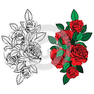 Vintage roses. Set of gothic tattoos. Collection of graphic and color isolated illustrations