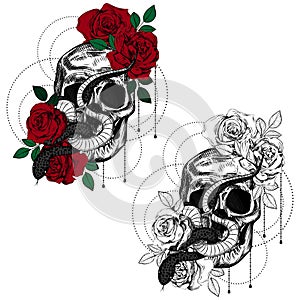 Vintage roses, skull and snakes. Set of gothic tattoos. Collection of graphic and color isolated illustrations