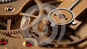 Vintage Ruby Jeweled Watch Mechanism in Macro