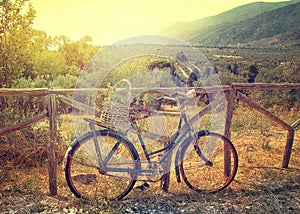 Vintage rustic bicycle with basket
