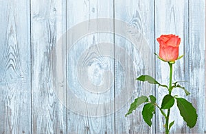 Vintage Rustic Wooden Background with rose flower
