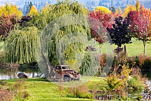 Vintage rusty 1938 GMC Truck sitting under a weeping willow tree near a pond with fall colors and hills in the background in Hood