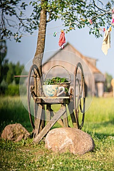 Vintage rusty grass shredding machine with flower pot and basket in a farm