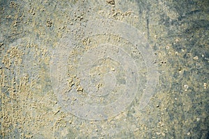 Vintage Rusty metal panel textured