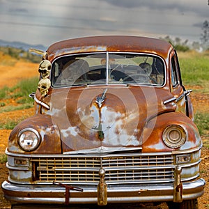 Vintage rusty old abandoned car decorated with skeletons decaying on a rural field