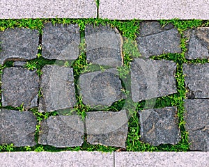 Vintage, Rusty tiled, colorful, decorative stone pavement with green grass and moss.
