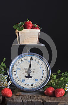 Vintage Scale and Strawberries