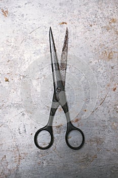 Vintage scissors