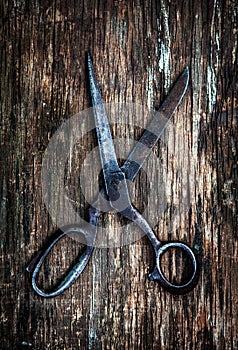 Vintage Scissors closeup