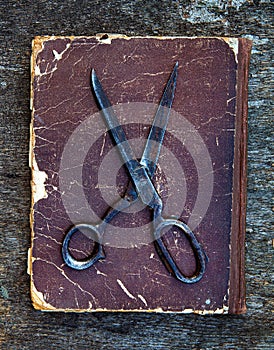 Vintage Scissors closeup