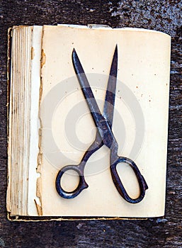 Vintage Scissors closeup