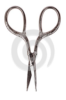 Vintage scissors at white background