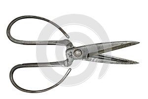 Vintage Scissors on white background from thailand.