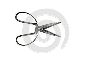 Vintage Scissors on white background from thailand.