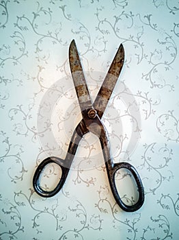 Vintage scissors on wooden background