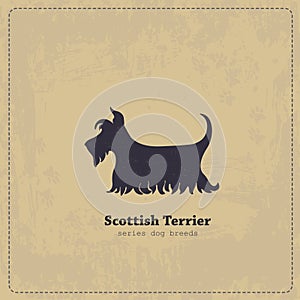 Vintage Scottish Terrier poster