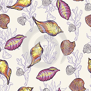 Vintage sea life natural seamless pattern, underwater vector texture