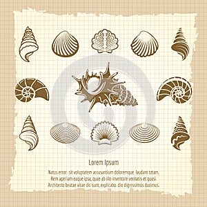 Vintage sea shell silhouettes set