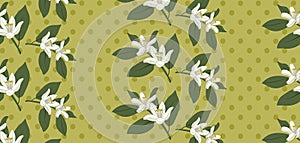 Vintage seamless floral pattern, citrus blossoming branches and polka dots on greenish yellow background. Repeat surface design