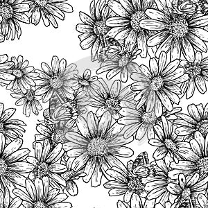 Vintage seamless monochrome pattern with daisies