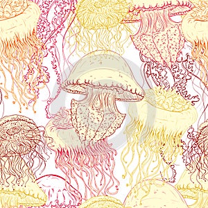 Vintage seamless pattern with collection of jellyfish.