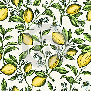 Vintage seamless pattern with lemon branch