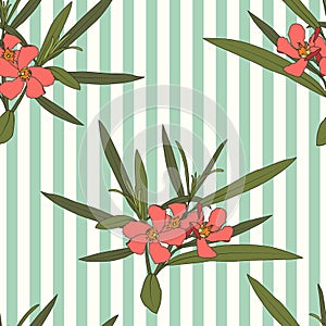 Vintage seamless pattern with Oleander pink flower. Pink coral Rhododendron flowers on a blue strip background