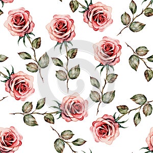 Vintage seamless pattern pink watercolor roses isolated on white background, vector Provence print backdrop