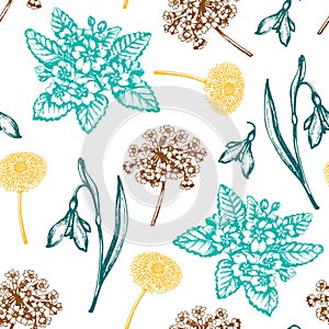 Vintage seamless pattern with snowdrops and primroses