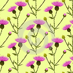 Vintage seamless pattern with thistle flowers