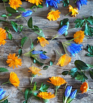 Vintage seasonal autumn background. Autumn yellow and blue flowers and leaves on a wooden background