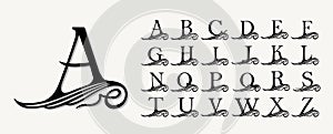 Vintage Set. Calligraphic capital letters with curls for Monograms, Emblems and Logos. Beautiful Filigree Font. Is at