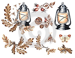 Vintage set of compositions with lantern, moths, autumn oak leaves and rosehip. Watercolor hand drawn illustration of