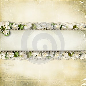 Vintage shabby background with a border of white flowers